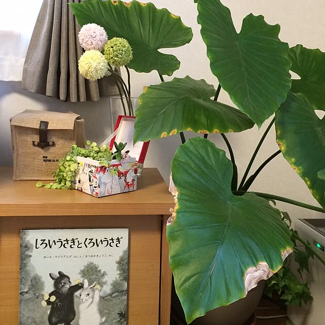 kazuさんの実例写真