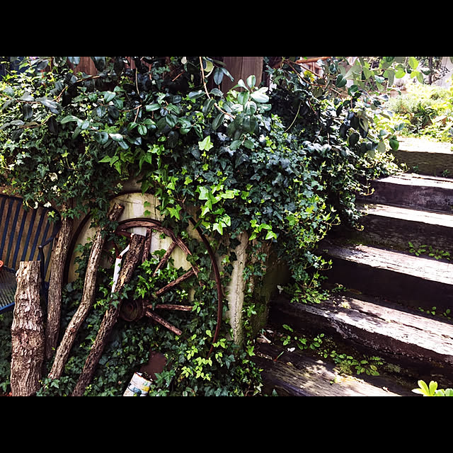 marusanさんの実例写真