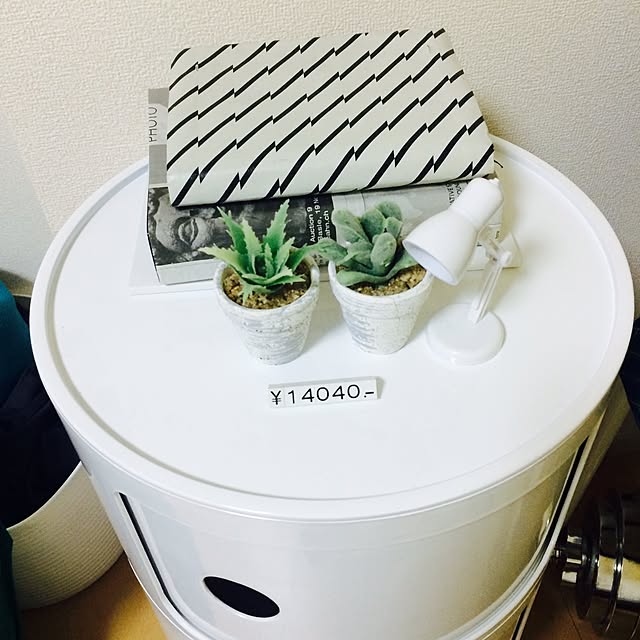 SASAさんの実例写真