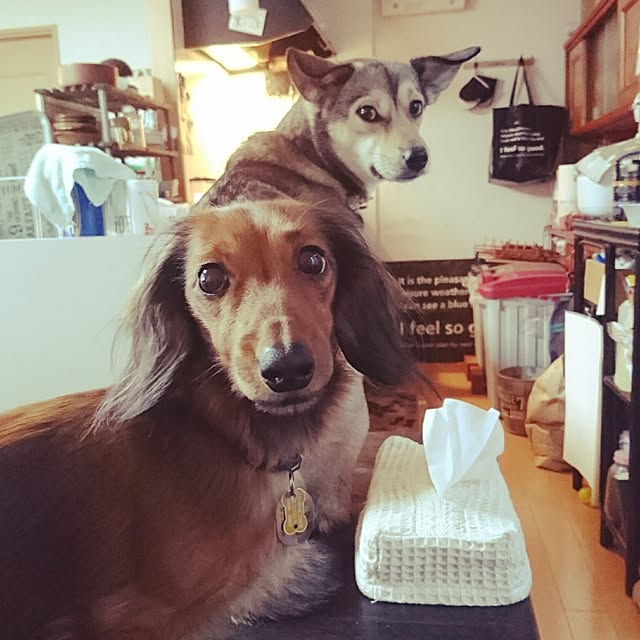 andさんの実例写真