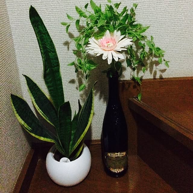 Akiさんの実例写真