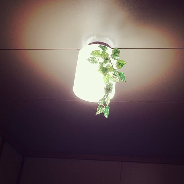 kurupiさんの実例写真