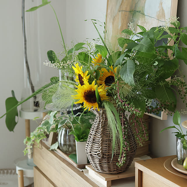 Summerさんの部屋