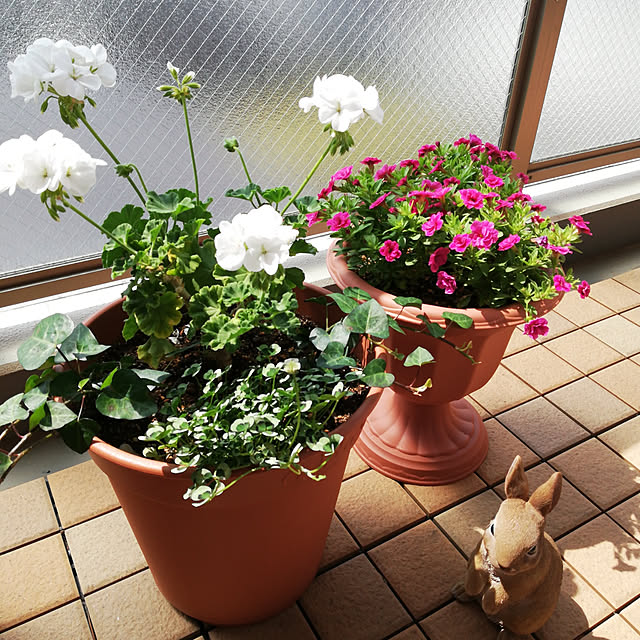 kotoripさんの実例写真