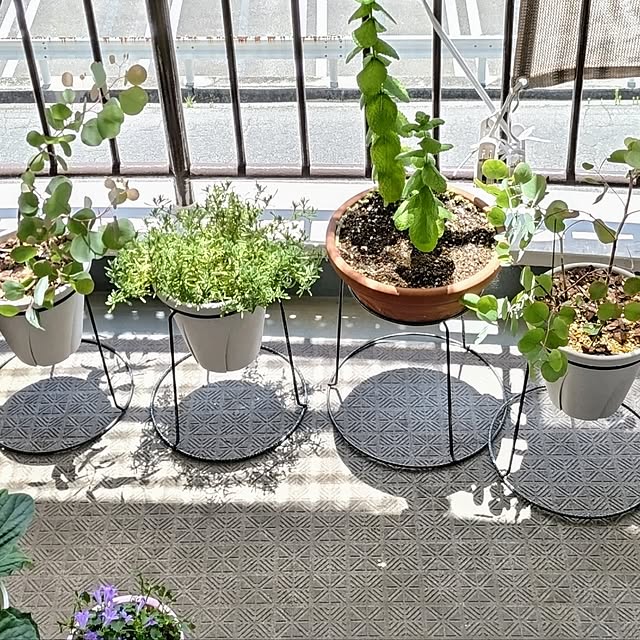 mi-saさんの部屋