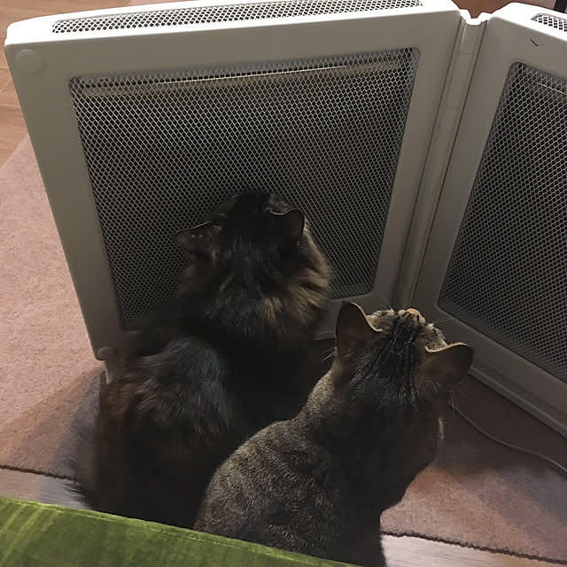 mikomaruさんの実例写真