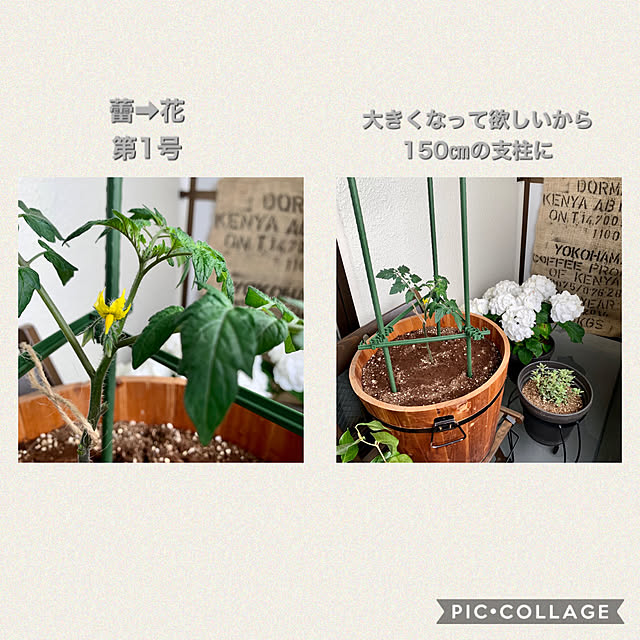 yasuyo66さんの実例写真