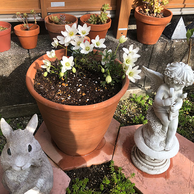 haruminさんの部屋