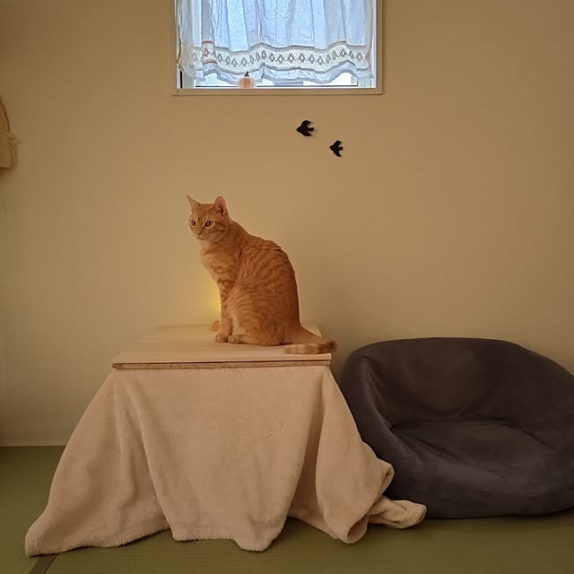 mayutan.さんの実例写真