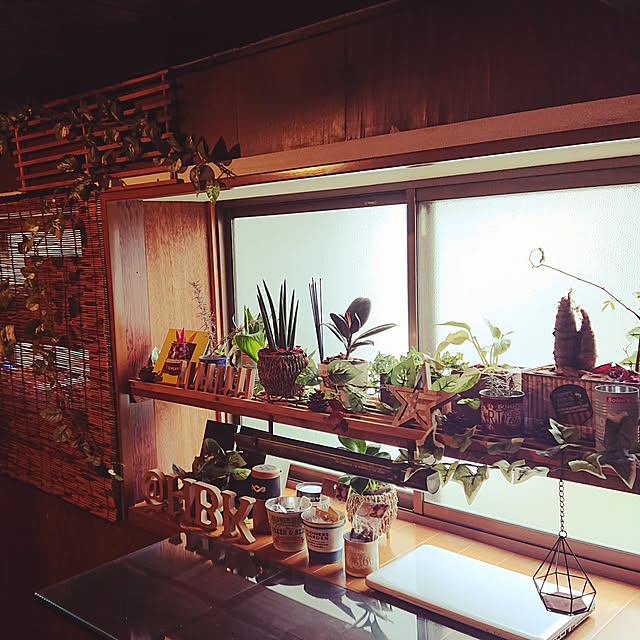 壁/天井/雑貨/100均/多肉植物のインテリア実例 - 2019-04-30 18:13:33