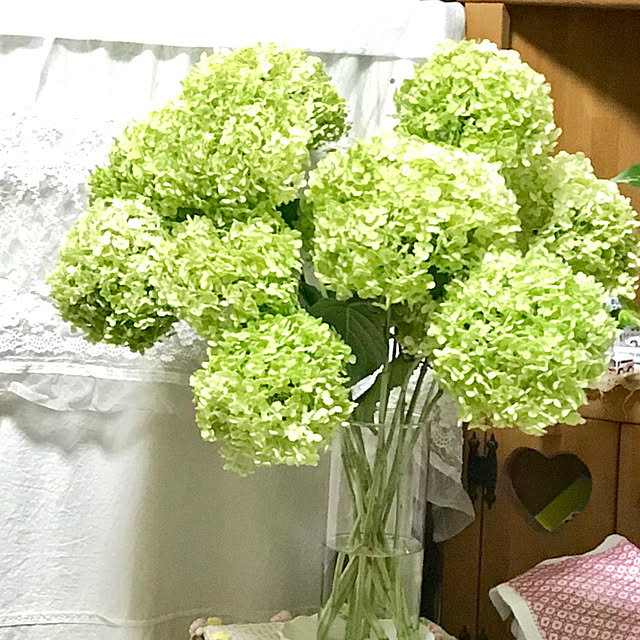 mockさんの実例写真