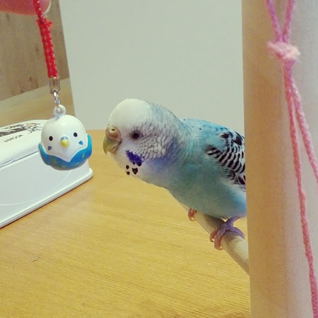 yukkieさんの実例写真