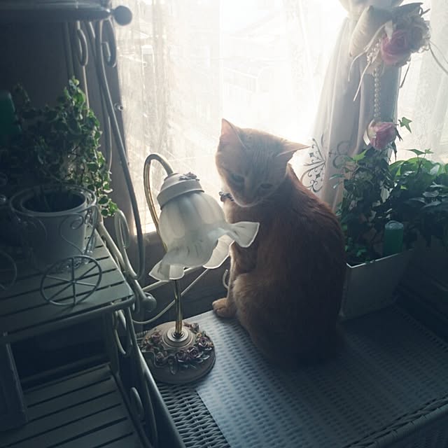 fu-ka24さんの実例写真