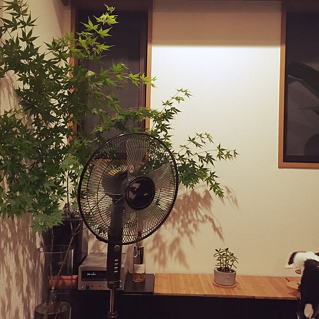 kouさんの実例写真