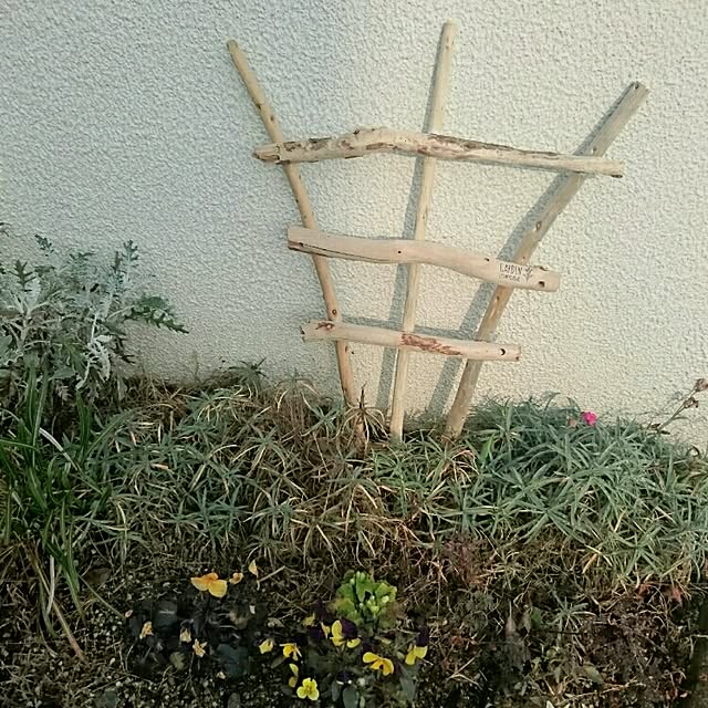 mozuku315さんの実例写真