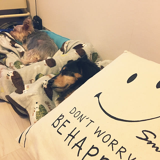 ohanaさんの実例写真