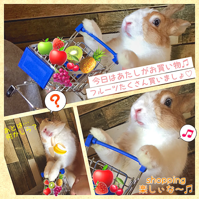 muuさんの実例写真