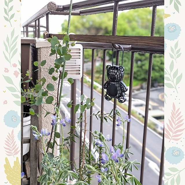 mi-saさんの実例写真