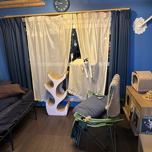 yuutamamehimaさんの部屋