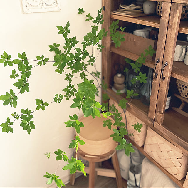 nikoさんの実例写真