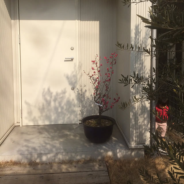 snjさんの実例写真