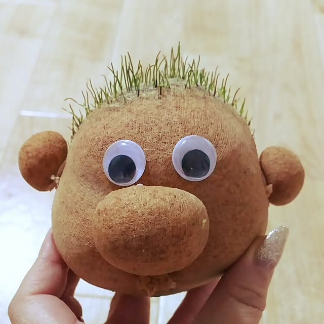 akoさんの実例写真