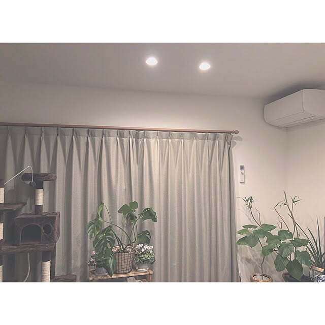 ri_さんの実例写真