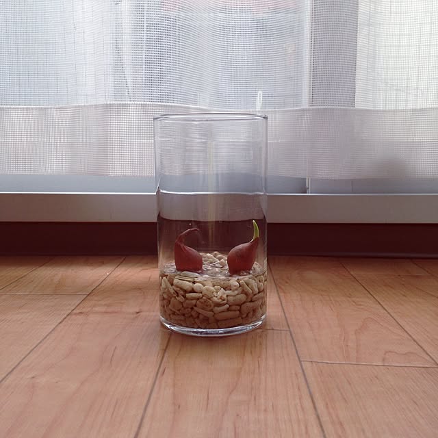 coroさんの実例写真