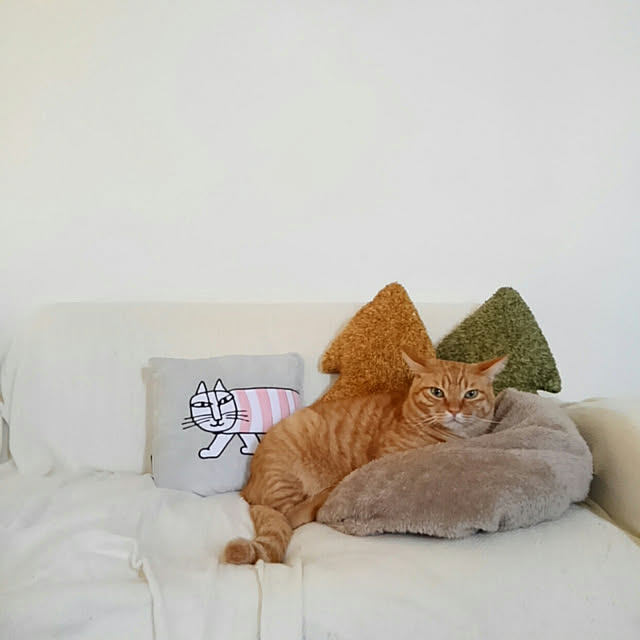 mayutan.さんの実例写真