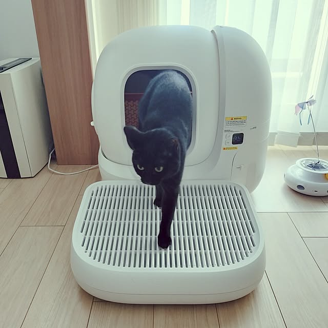 sakuraさんの実例写真
