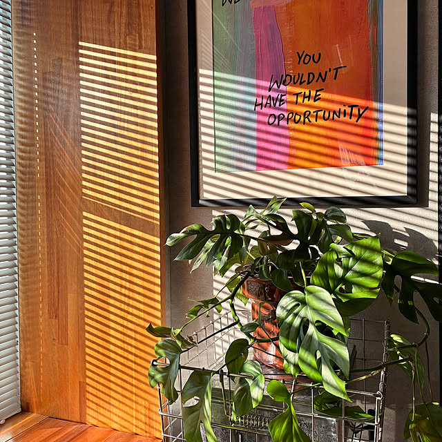 popoさんの実例写真