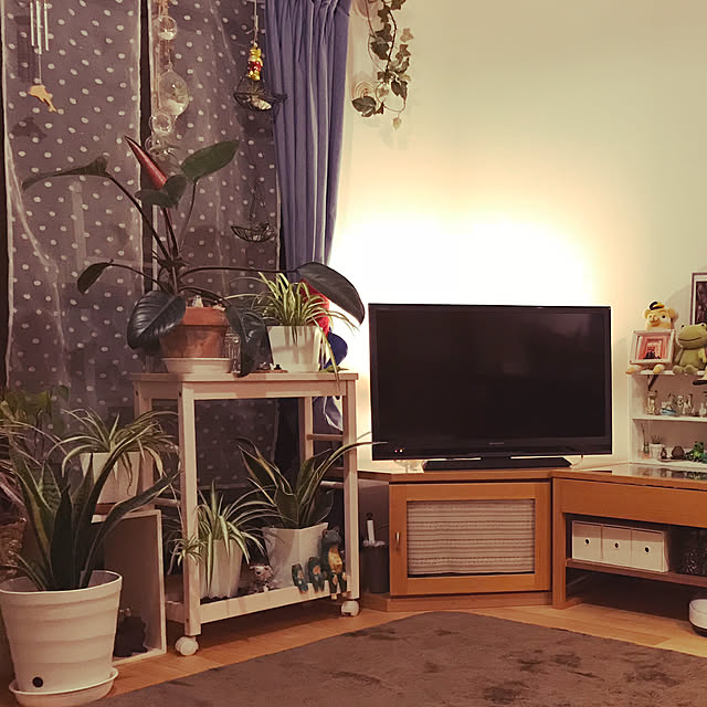 rasさんの実例写真