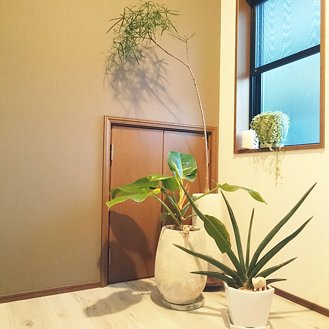 flowersさんの実例写真