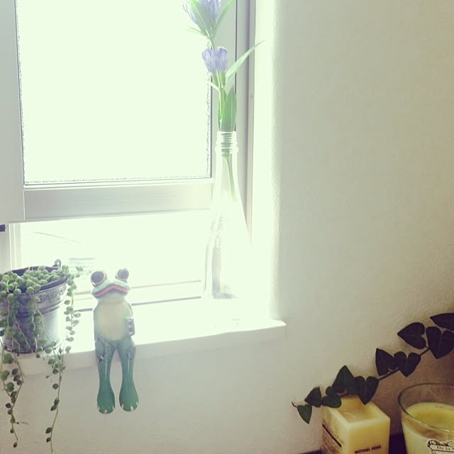 yUmiさんの実例写真