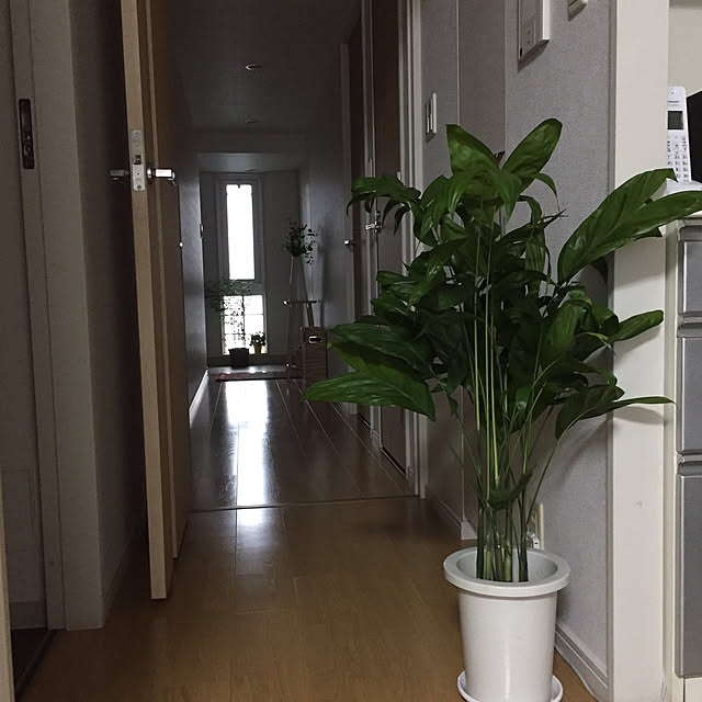 xkxbc___297さんの実例写真