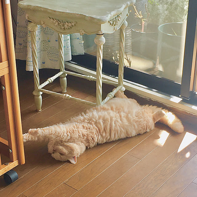 naokoさんの部屋