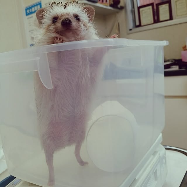 kuruさんの実例写真