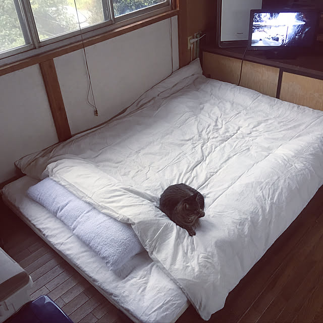 KINGさんの実例写真