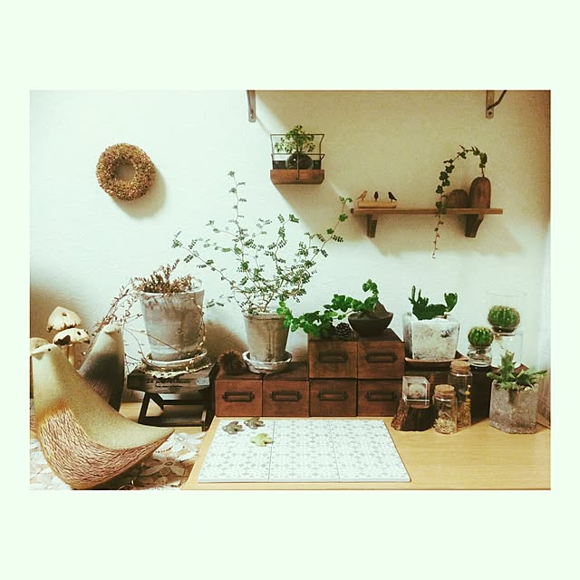 manatomoさんの実例写真