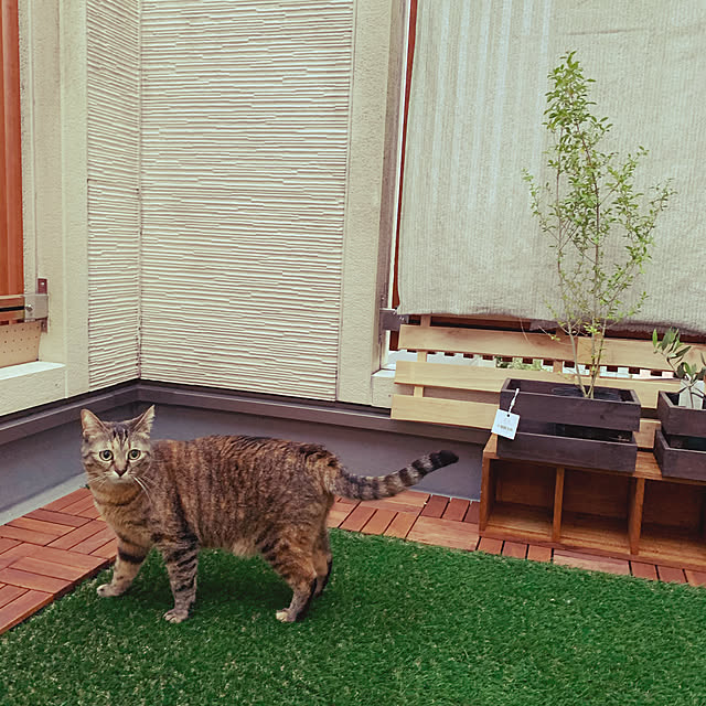 queさんの実例写真
