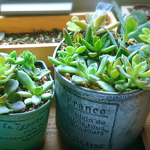 cocomilkさんの実例写真