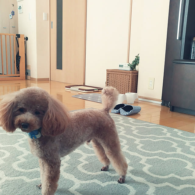sakuramaruさんの実例写真