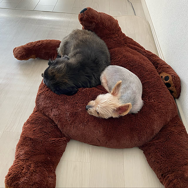 ohanaさんの実例写真
