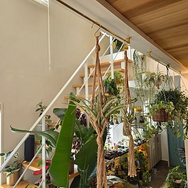 nonbiri_house_さんの部屋