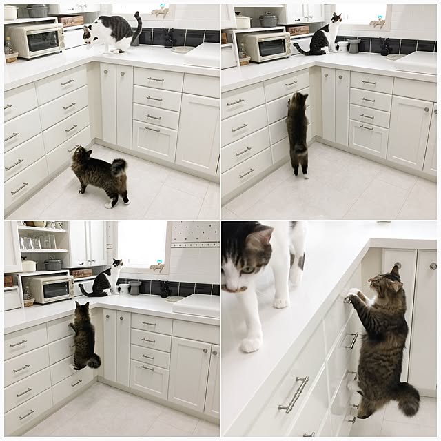 yuchiさんの実例写真