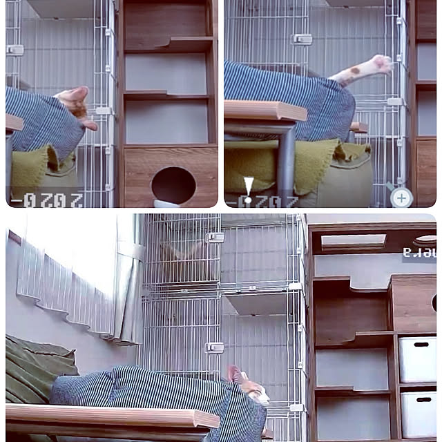 koyurizuさんの実例写真