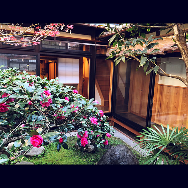 mee.1518さんの実例写真