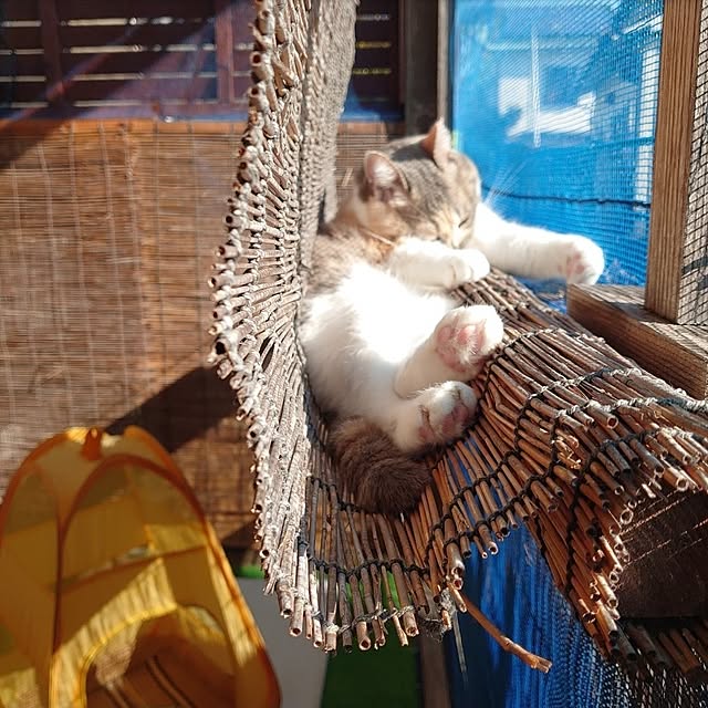 fukuさんの実例写真