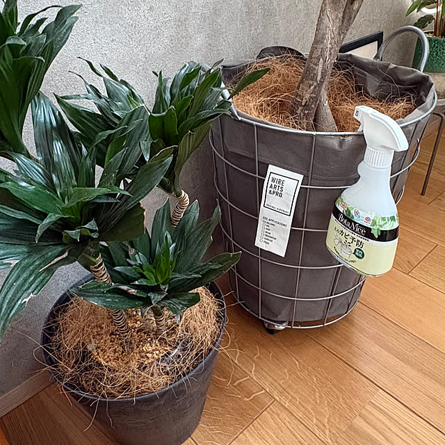 Rさんの実例写真