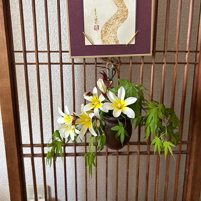 ritsukoさんの部屋